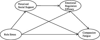 Chain mediations of perceived social support and emotional regulation efficacy between role stress and compassion fatigue: insights from the COVID-19 pandemic